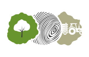 Enderle logo kompakt cmyk